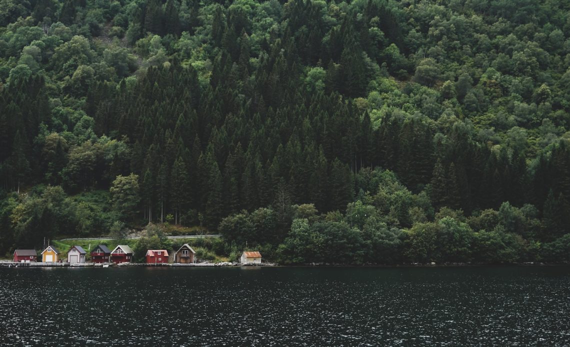 body of water and assorted-color houses